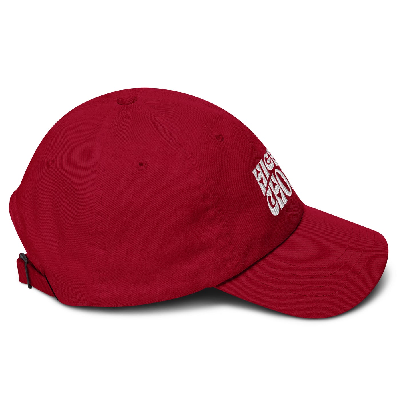 Highly Chozen- Dad Hat